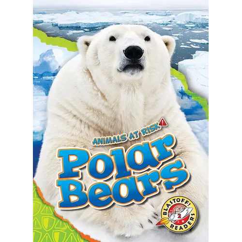 Polar Bears