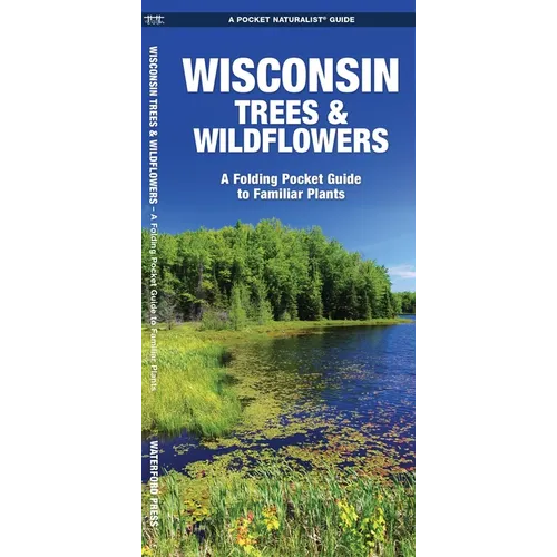 Wisconsin Trees & Wildflowers: A Folding Pocket Guide to Familiar Plants