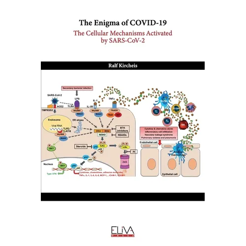 The Enigma of COVID-19: The Cellular Mechanisms Activated by SARS-CoV-2