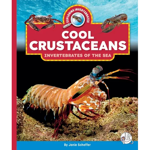 Cool Crustaceans: Invertebrates of the Sea