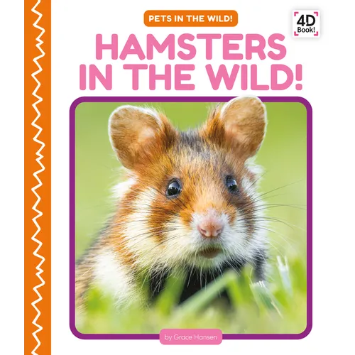 Hamsters in the Wild!