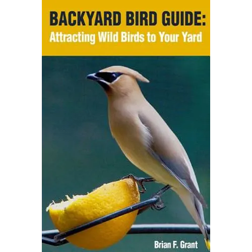Backyard Bird Guide: Attracting Wild Birds to Your Yard