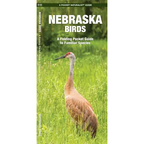 Nebraska Birds: An Introduction to Familiar Species