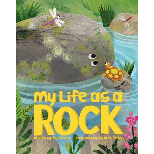 My Life as a Rock