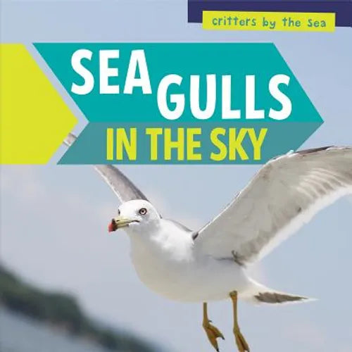 Sea Gulls in the Sky