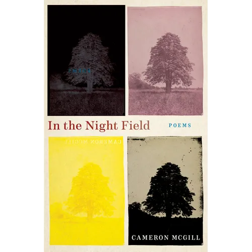 In the Night Field