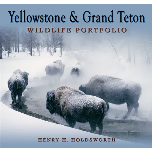 Yellowstone & Grand Teton Wildlife Portfolio (Sc)
