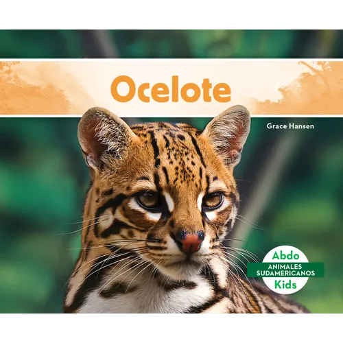 Ocelote (Ocelot)