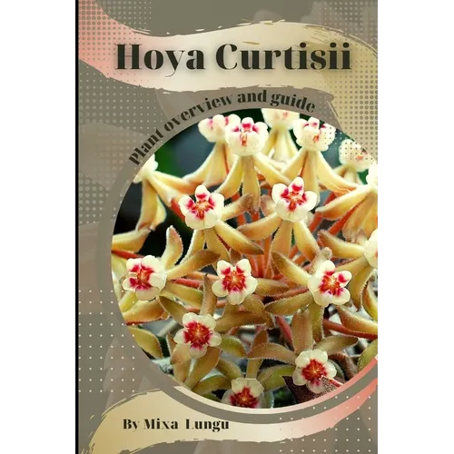 Hoya Curtisii: Plant overview and guide