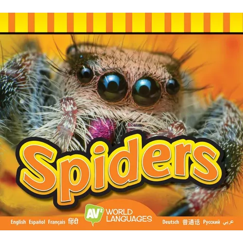 Spiders