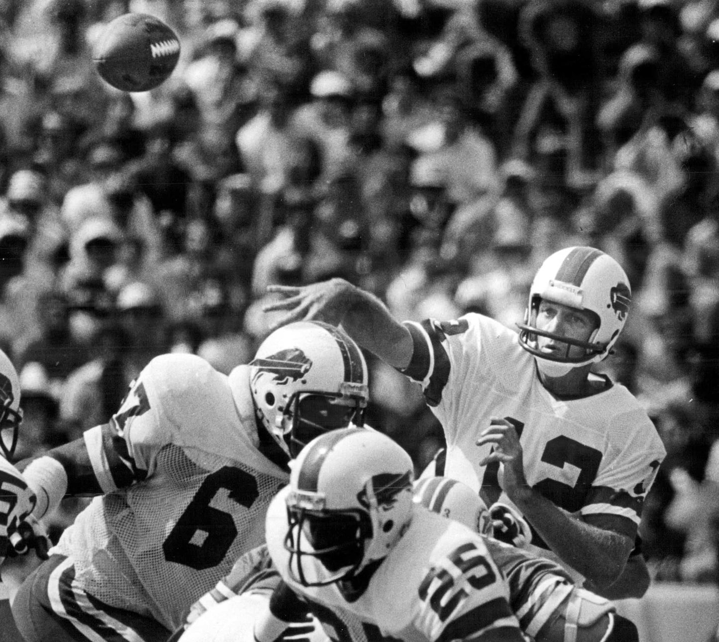 Farewell to The Ralph: Remembering Where We Cheered, Froze, Cried and Bonded Book