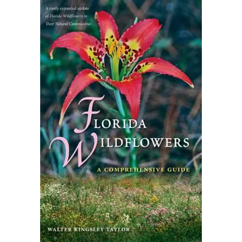 Florida Wildflowers: A Comprehensive Guide