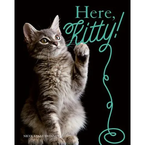 Here, Kitty!