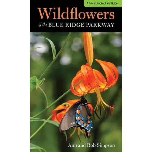 Wildflowers of the Blue Ridge Parkway