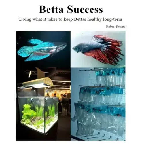 Betta Success: Doing what it takes to keep Bettas healthy long-term