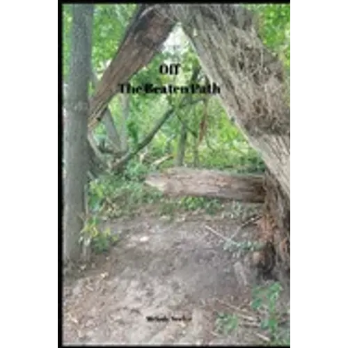 Off The Beaten Path: 4 year Blood Glucose Tracker