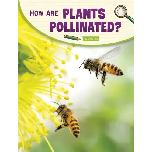How Are Plants Pollinated?