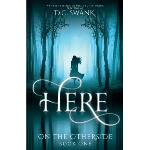 Here: On the Otherside Book One