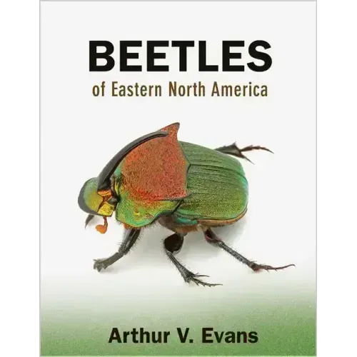 Beetles of Eastern North America