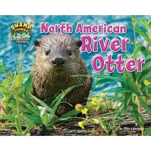 North American River Otter