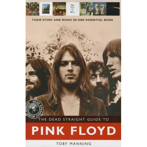 The Dead Straight Guide to Pink Floyd
