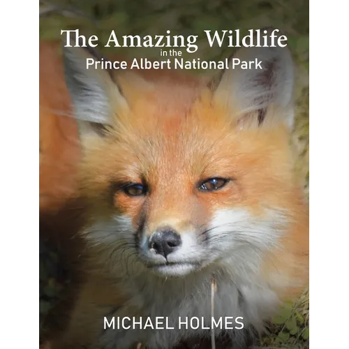 The Amazing Wildlife in the Prince Albert National Park