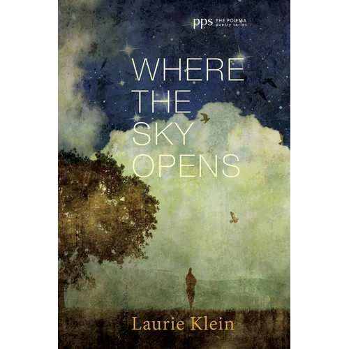Where the Sky Opens: A Partial Cosmography