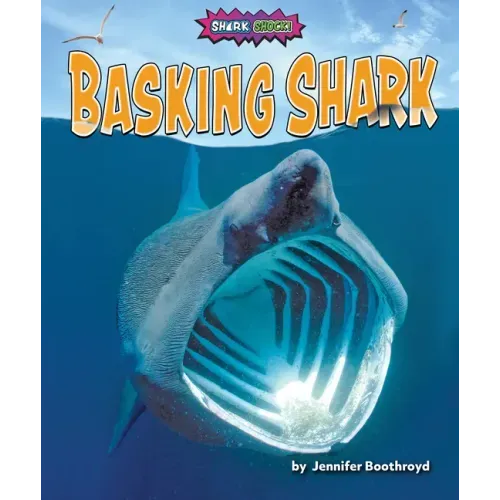 Basking Shark