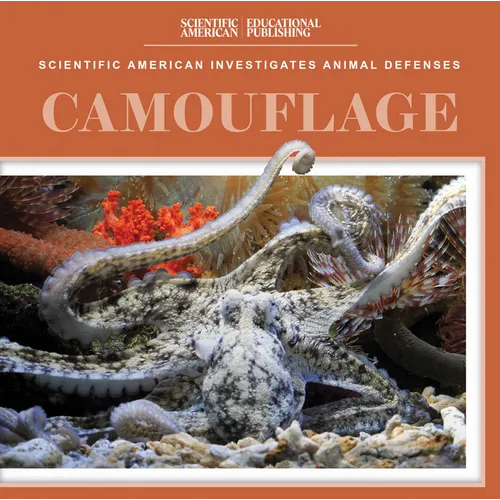Camouflage