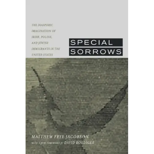 Special Sorrows: The Diasporic Imagination of Irish, Polish, and Jewish Immigrants in the United States