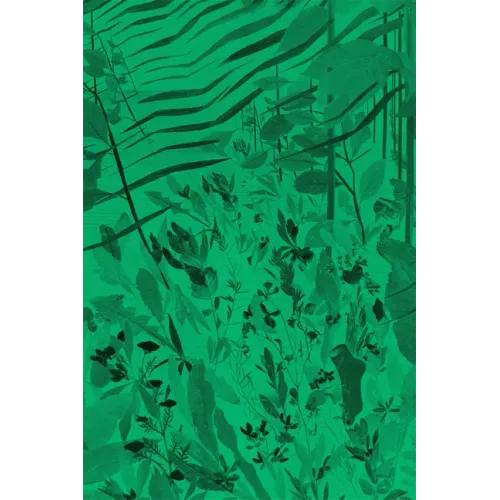 David Eisl: Green Screen Weeds and Dreaming Grids