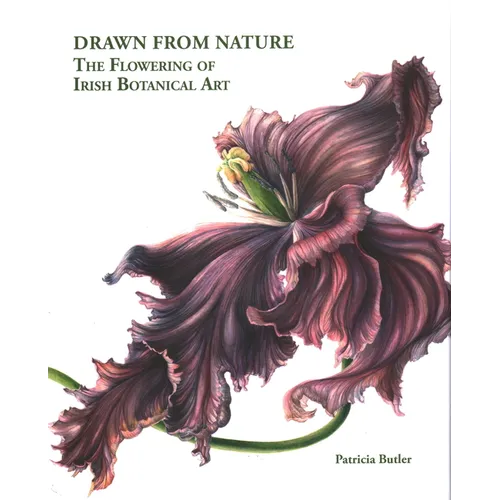 Drawn from Nature: The Flowering of Irish Botanical Art
