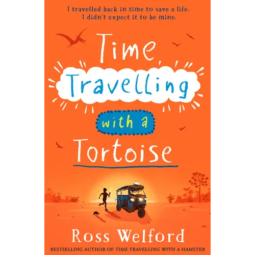 Time Travelling with a Tortoise