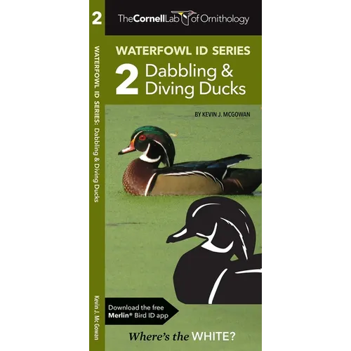 Cornell Lab of Ornithology Waterfowl Id Series: 2 Dabbling & Diving Ducks: Cornell Lab of Ornithology Bird Id Series