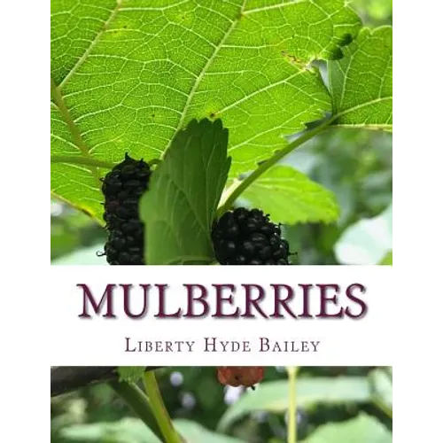 Mulberries