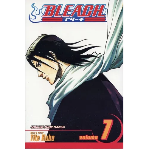 Bleach, Vol. 7