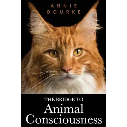 The Bridge To Animal Consciousness