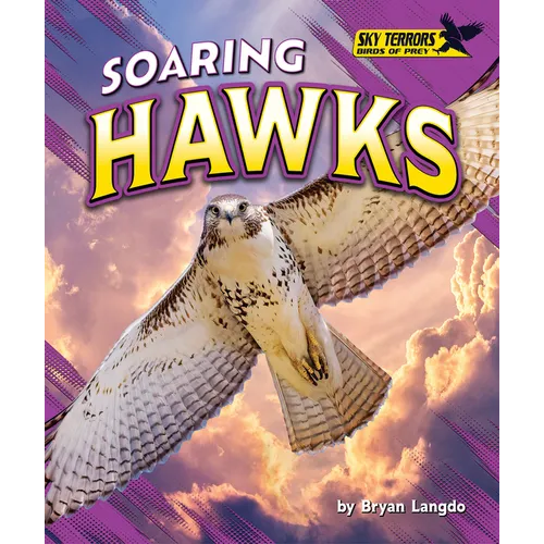 Soaring Hawks