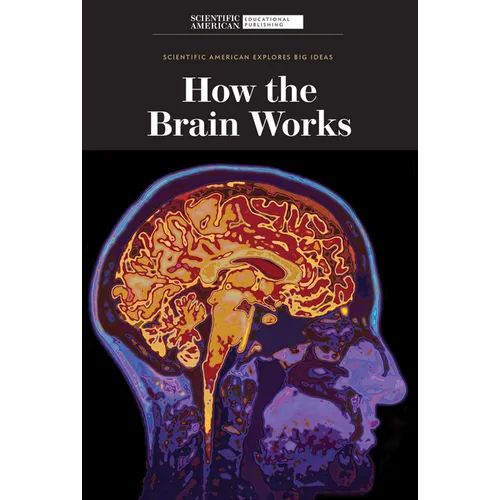 How the Brain Works