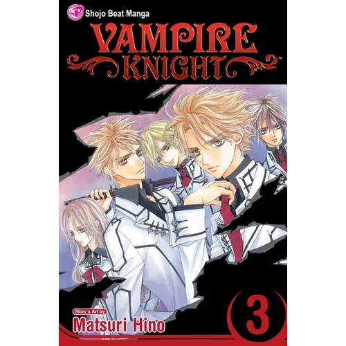 Vampire Knight, Vol. 3