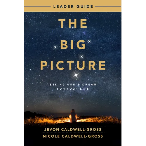 The Big Picture Leader Guide: Seeing God's Dream for Your Life