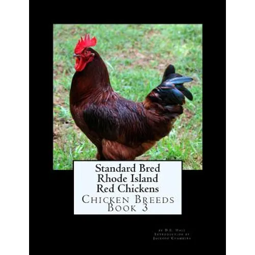Standard Bred Rhode Island Red Chickens