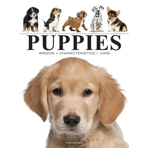 Puppies