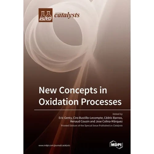 New Concepts in Oxidation Processes - Paperback