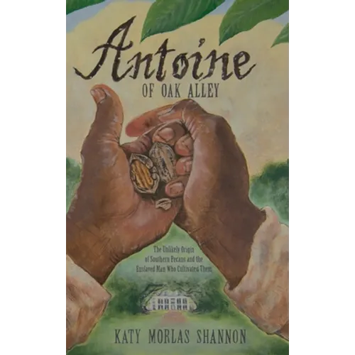 Antoine of Oak Alley: The Unlikely Origin of Southern Pecans and the Enslaved Man Who Cultivated Them