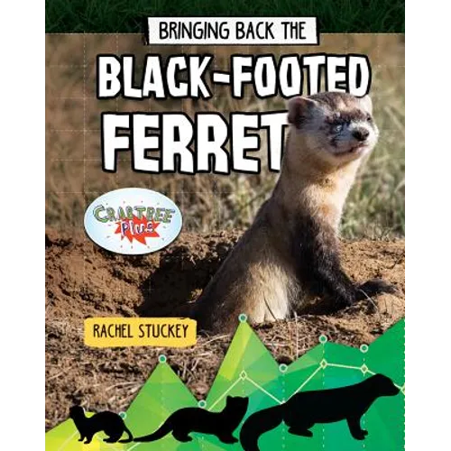 Bringing Back the Black-Footed Ferret