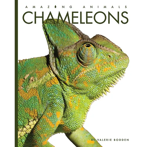 Chameleons