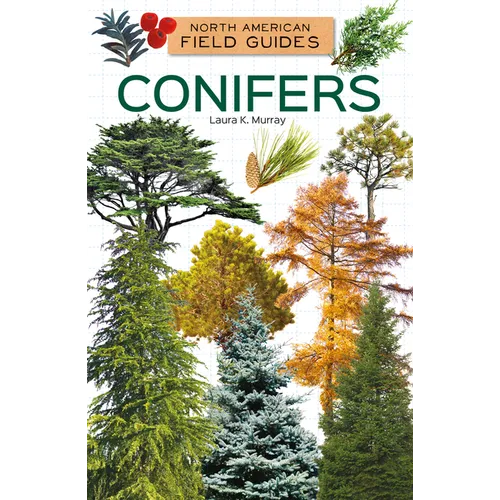 Conifers