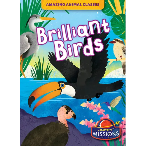 Brilliant Birds