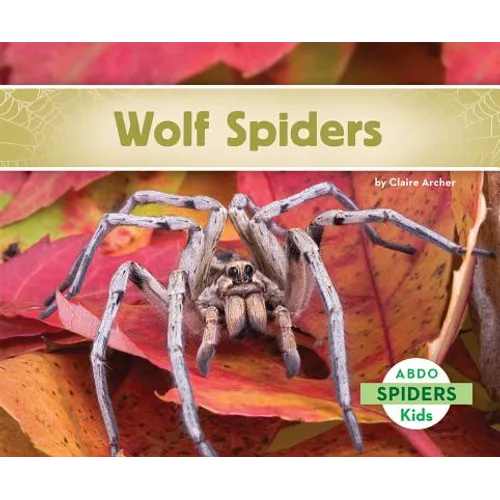 Wolf Spiders